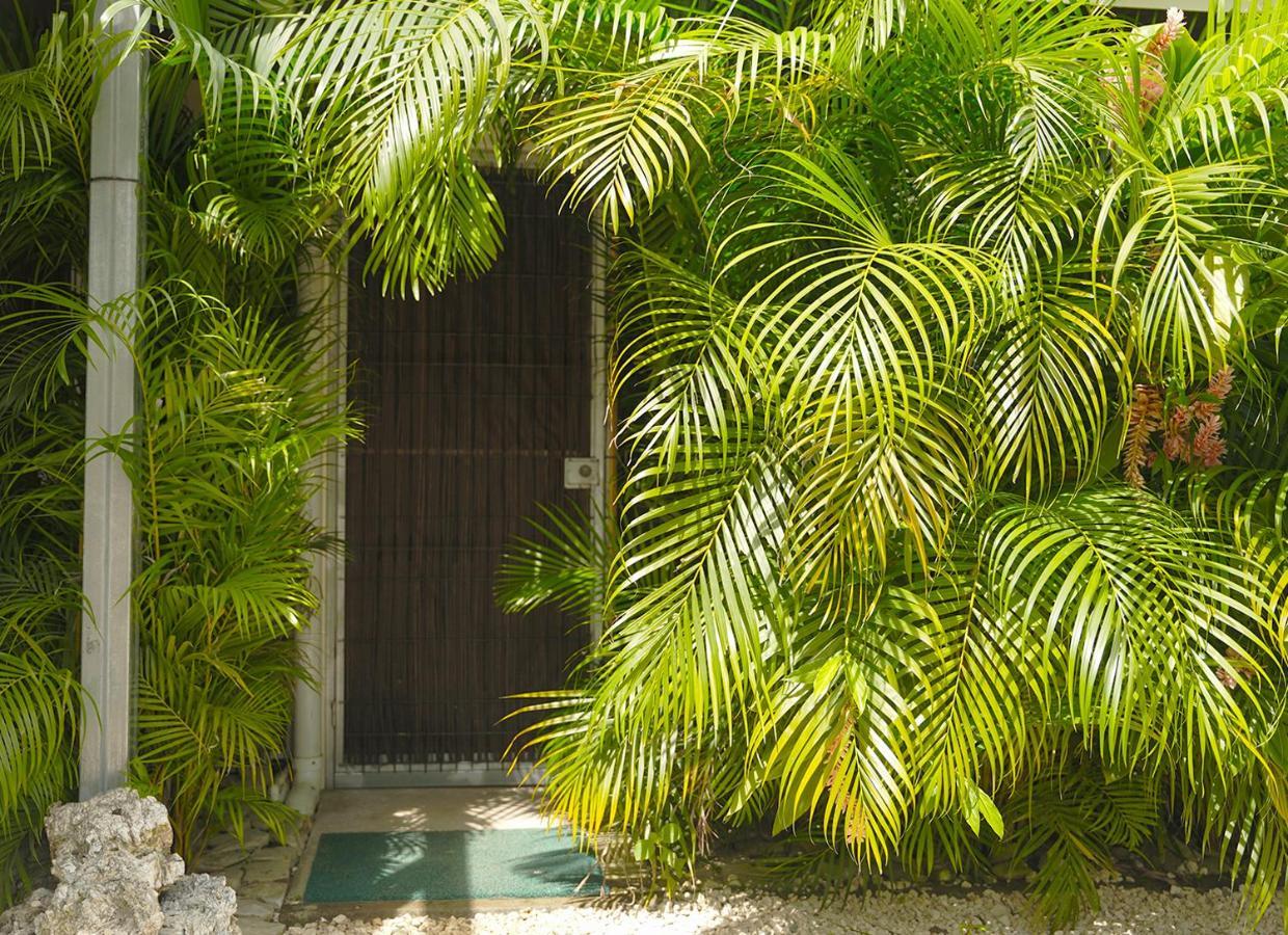 Apartamentos Y Studios Brisas Del Mar Santa Teresa Playa Santa Teresa  Zewnętrze zdjęcie